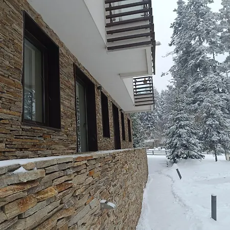 Lyra Forest * Borovets
