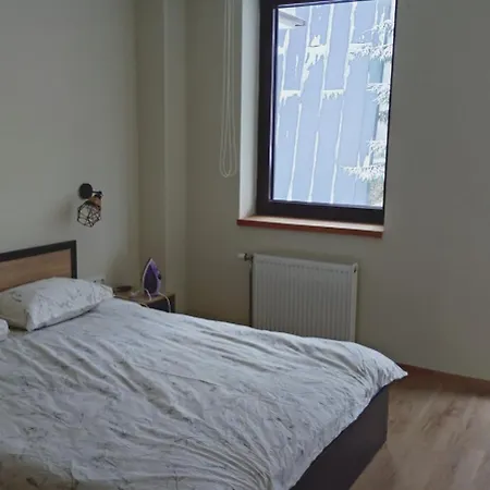 Lyra Forest * Borovets