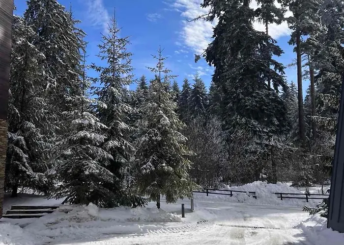 Apartamento Lyra Forest *